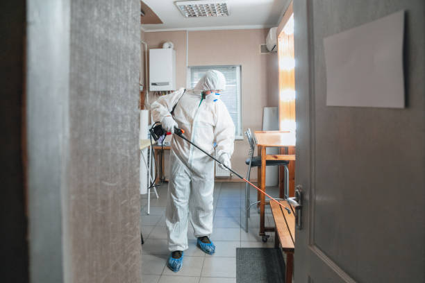 Best Mold Prevention Services  in North Arlington, NJ