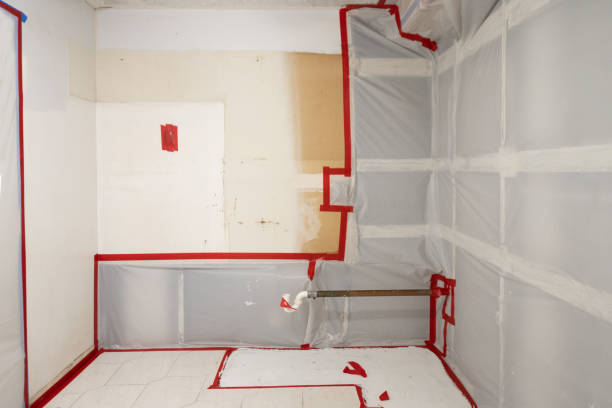 Best Environmental Consulting for Mold Prevention  in North Arlington, NJ