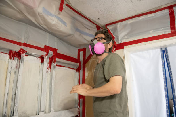 Best Mold Remediation for Healthcare Facilities  in North Arlington, NJ
