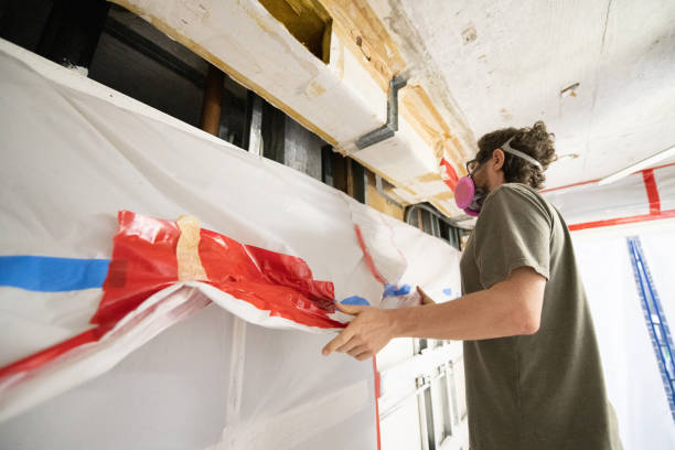 Best Attic Mold Removal  in North Arlington, NJ