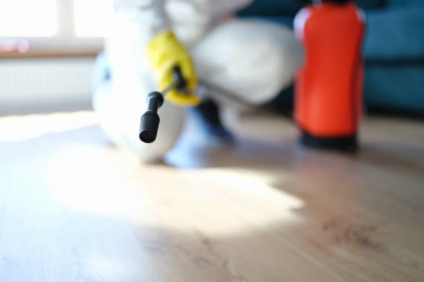 North Arlington, NJ Mold Removal Company