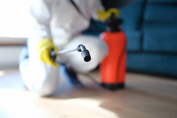 Best Airborne Mold Testing  in North Arlington, NJ