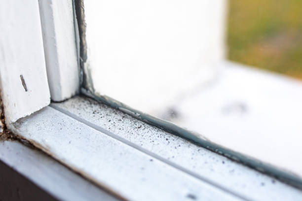 Best Real Estate Mold Inspection  in North Arlington, NJ