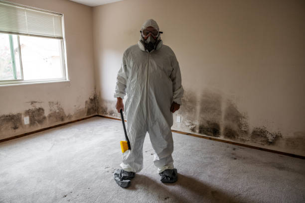 Best Forensic Mold Investigation  in North Arlington, NJ